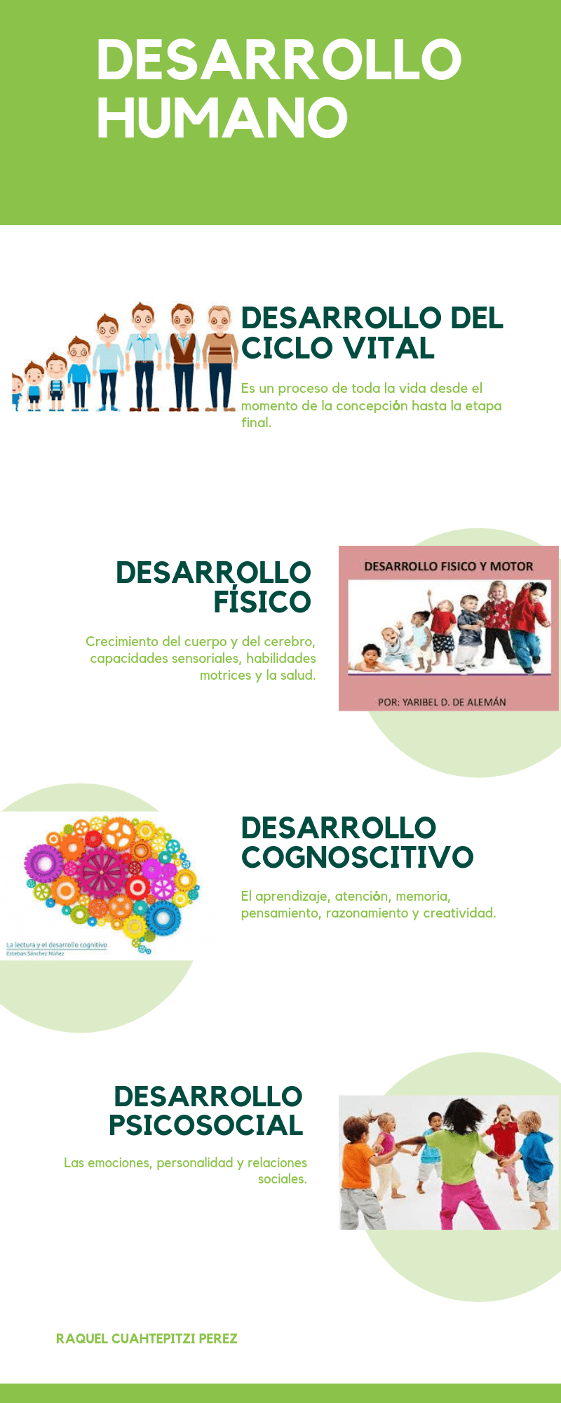 Lifecyle of a Butterfly